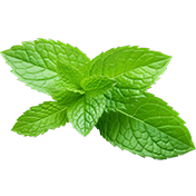mint cocktails