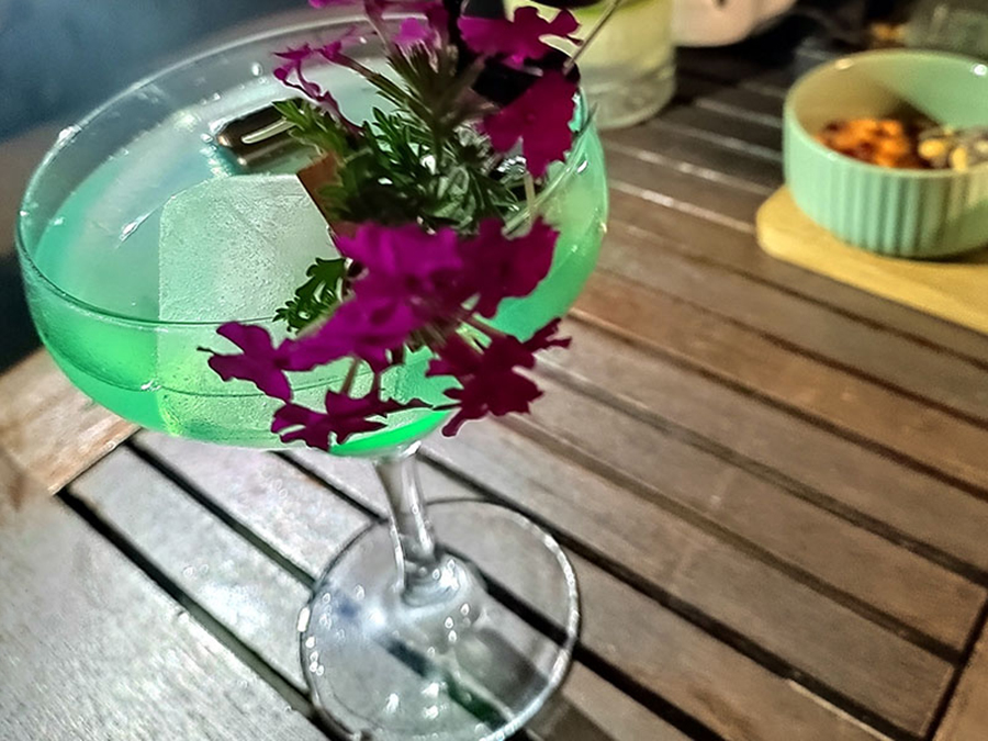 Japanese Slipper
