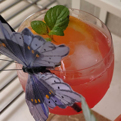 Campari Juice Cocktail